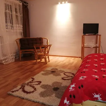 Гостевой дом Casa Zura Буштени