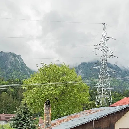 Гостевой дом Casa Zura *